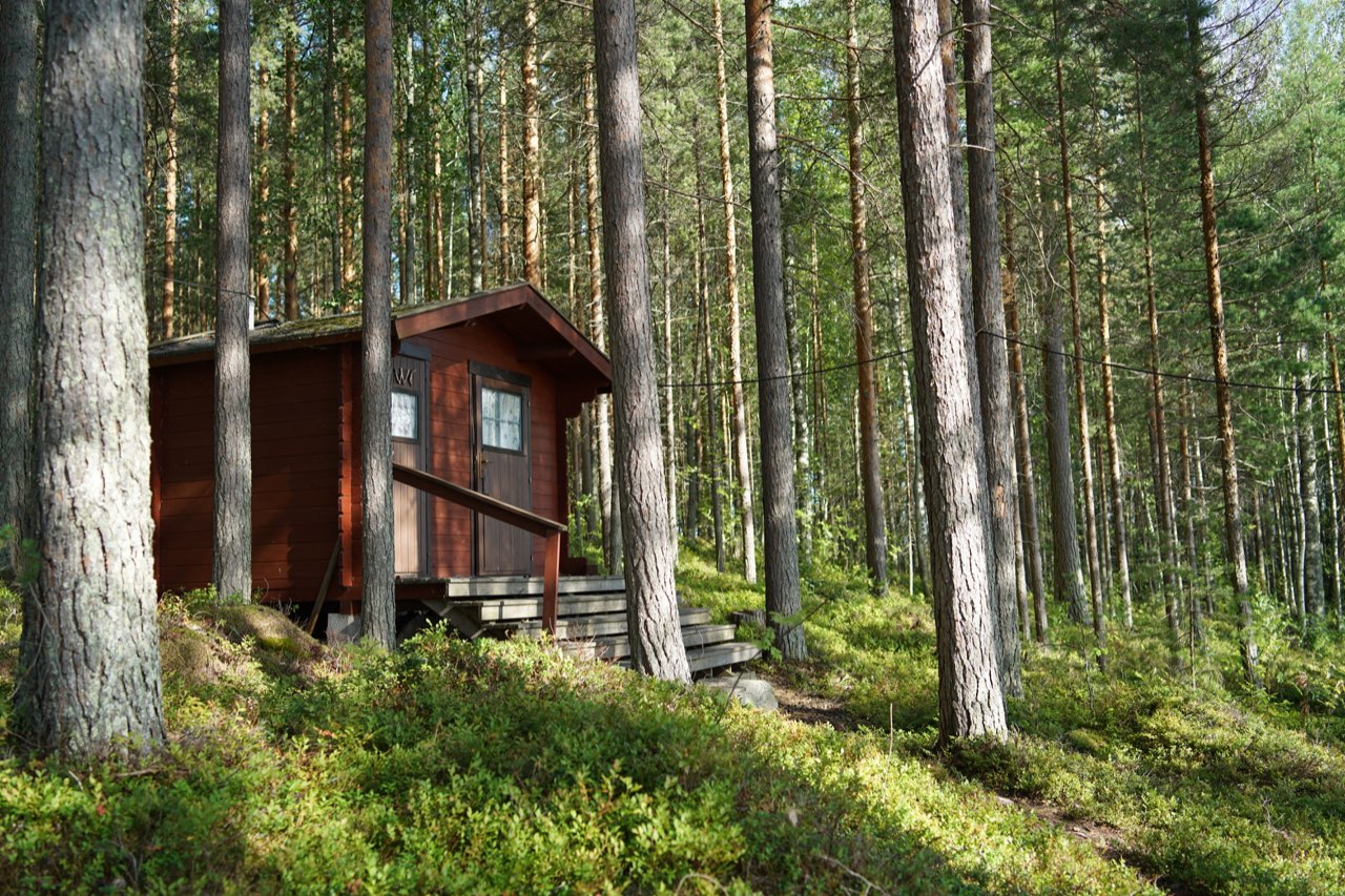 Kartun saunamökki mäntymetsässä
